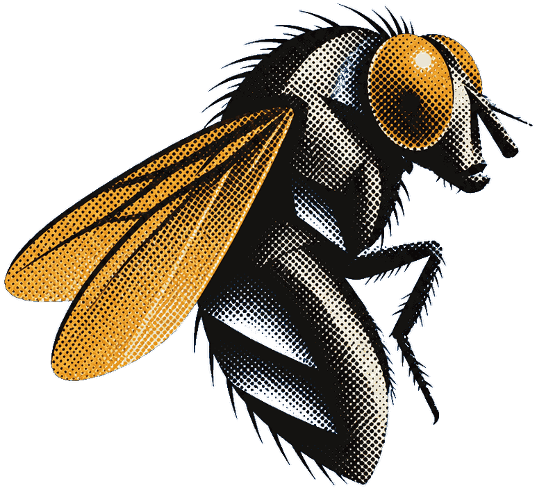 A halftone plate of an adult male Drosophila melanogaster, wings and eye in amber.